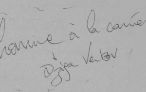 Philosophie(s) du cinéma - JM Schaeffer  @ EHESS, 105 bd Raspail, salle 13 | Paris | Île-de-France | France